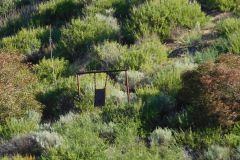 DSCN1770_resize