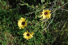 DSCN1777_resize