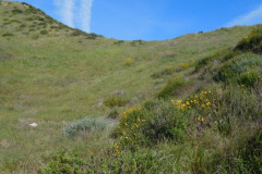 DSCN1778_resize