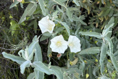 IMG_0504_resize