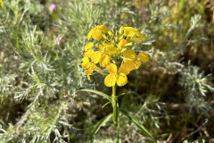 IMG_0507_resize