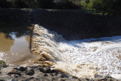 DSCN1609_resize