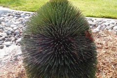 DSCN1613_resize