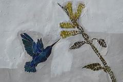 DSCN1614_resize