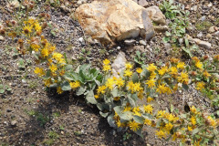 DSCN1617_resize