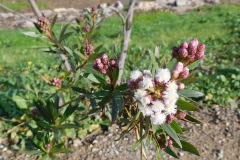 DSCN1624_resize