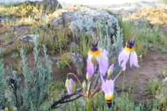 DSCN1642_resize