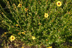DSCN1647_resize