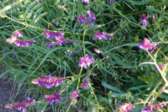 DSCN1648_resize