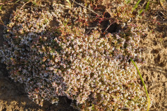 DSCN1653_resize