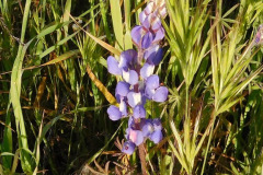 DSCN1654_resize