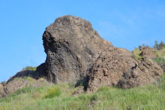 DSCN1659_resize