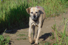 DSCN1660_resize