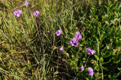 DSCN1662_resize