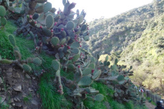 DSCN1668_resize