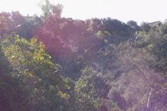 DSCN1671_resize