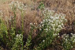 DSCN2153_resize