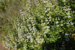 DSCN2166_resize