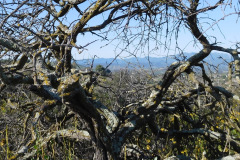 DSCN2171_resize