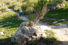 DSCN2175_resize