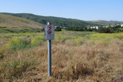 DSCN2178_resize