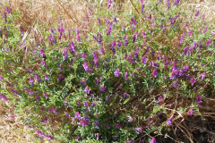 DSCN2179_resize