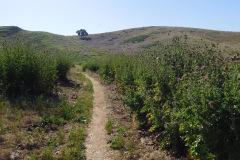 DSCN2182_resize