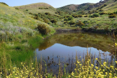 DSCN2183_resize