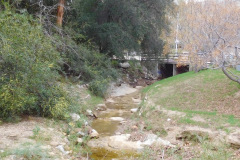 DSCN3538_resize