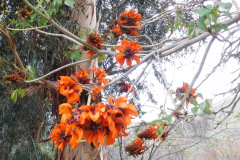 DSCN3543_resize
