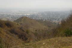 DSCN3556_resize