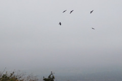 DSCN3571_resize