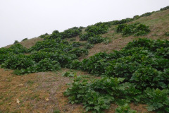 DSCN3578_resize