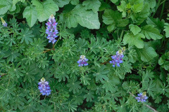 DSCN3579_resize