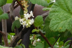 DSCN3586_resize
