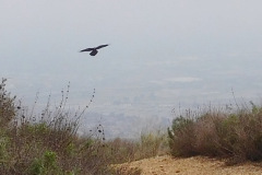 DSCN3589_resize