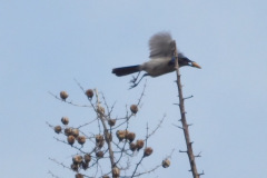 DSCN3593_resize
