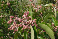 DSCN3595_resize