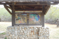 DSCN3605_resize