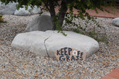 DSCN4173_resize