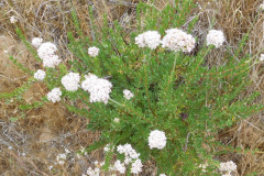 DSCN4186_resize
