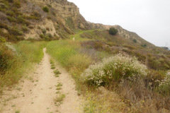 DSCN4188_resize