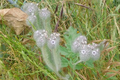 DSCN4192_resize