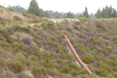 DSCN4193_resize