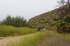 DSCN4194_resize