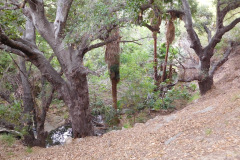 DSCN4200_resize