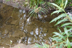 DSCN4202_resize