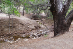 DSCN4203_resize