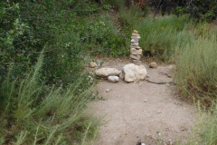 DSCN4207_resize