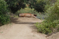 DSCN4210_resize